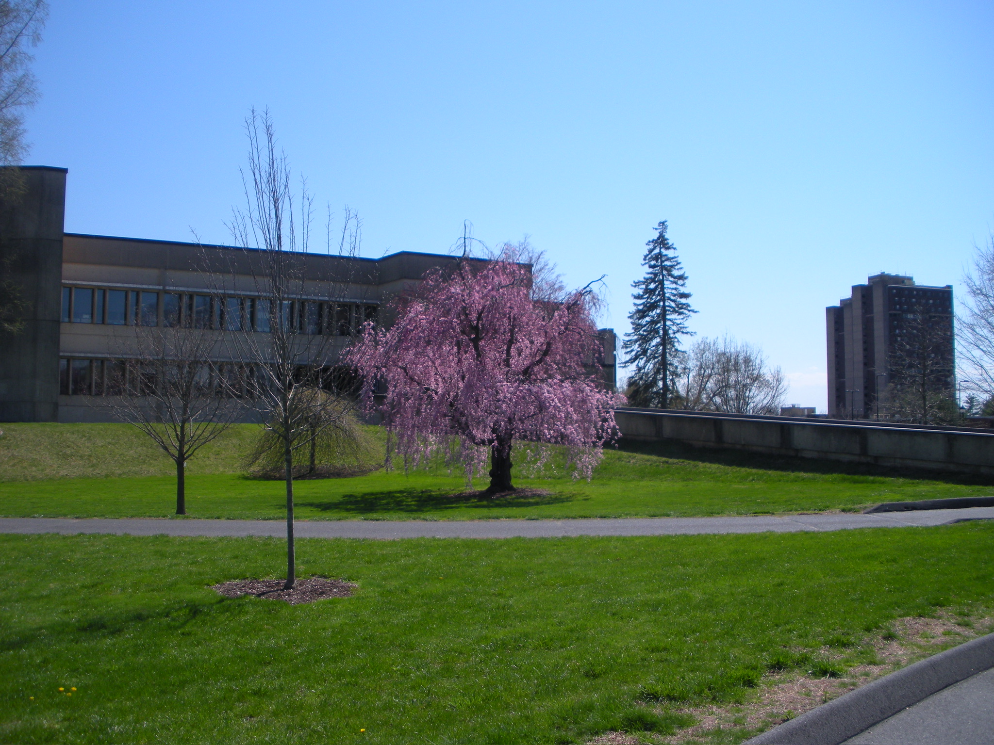 UMASS SPRING 25 photo